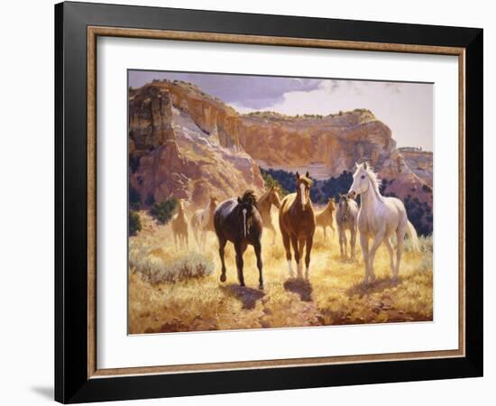 Canyon Trails-Claire Goldrick-Framed Art Print