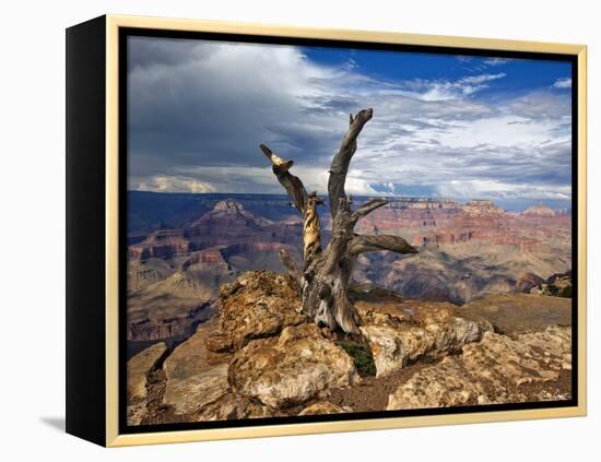 Canyon View V-David Drost-Framed Premier Image Canvas