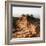 Canyon Walkway-Nicole Katano-Framed Photo