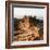 Canyon Walkway-Nicole Katano-Framed Photo