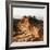 Canyon Walkway-Nicole Katano-Framed Photo