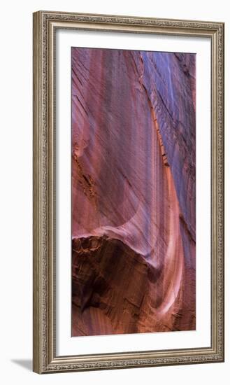 Canyon Wall Design, Long Canyon, Grand Staircase-Escalante National Monument, Utah, Usa-null-Framed Photographic Print