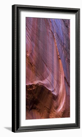 Canyon Wall Design, Long Canyon, Grand Staircase-Escalante National Monument, Utah, Usa-null-Framed Photographic Print