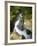 Canyoning in Routeburn Track, South Island, New Zealand-David Wall-Framed Photographic Print