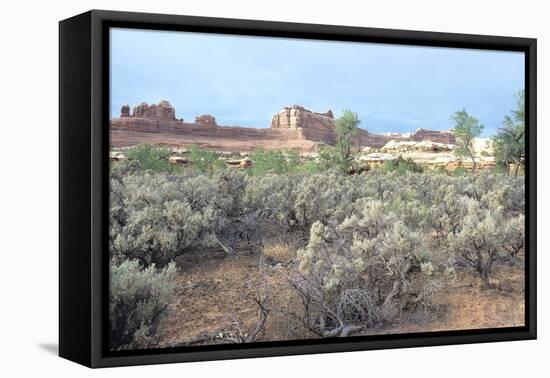 Canyonland 16-Gordon Semmens-Framed Premier Image Canvas