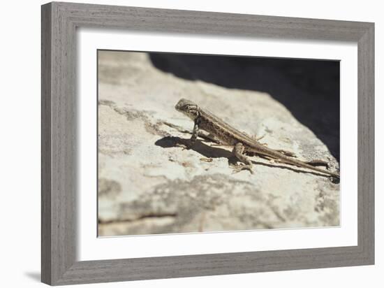 Canyonland 19-Gordon Semmens-Framed Photographic Print