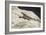 Canyonland 19-Gordon Semmens-Framed Photographic Print