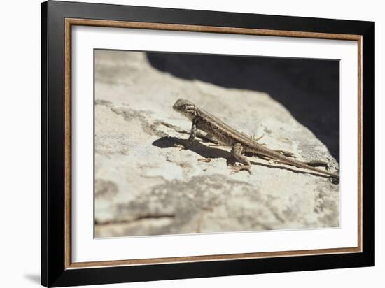 Canyonland 19-Gordon Semmens-Framed Photographic Print