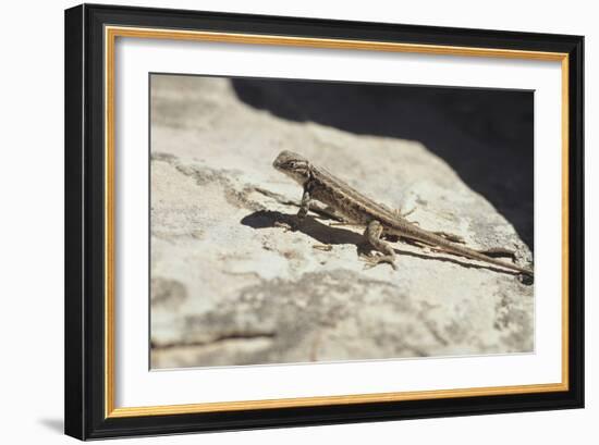 Canyonland 19-Gordon Semmens-Framed Photographic Print