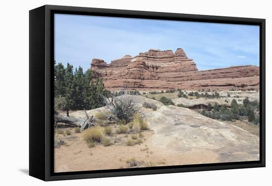 Canyonland 21-Gordon Semmens-Framed Premier Image Canvas