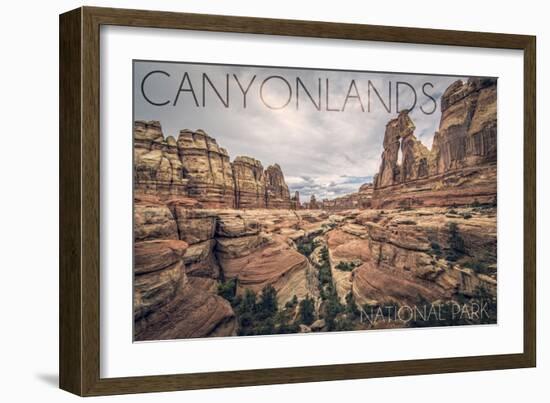 Canyonlands National Park, Utah - Cloudy Canyon View-Lantern Press-Framed Art Print