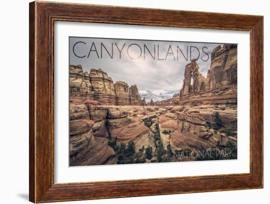 Canyonlands National Park, Utah - Cloudy Canyon View-Lantern Press-Framed Art Print