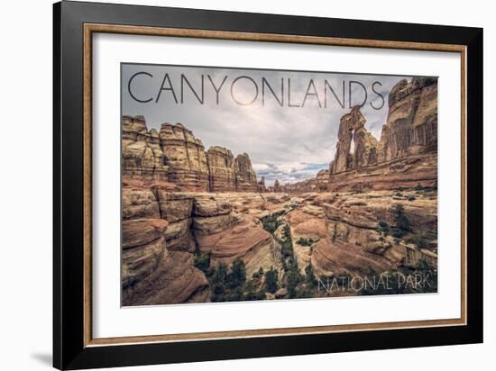 Canyonlands National Park, Utah - Cloudy Canyon View-Lantern Press-Framed Art Print