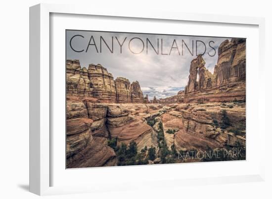 Canyonlands National Park, Utah - Cloudy Canyon View-Lantern Press-Framed Art Print