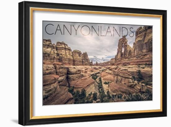 Canyonlands National Park, Utah - Cloudy Canyon View-Lantern Press-Framed Art Print