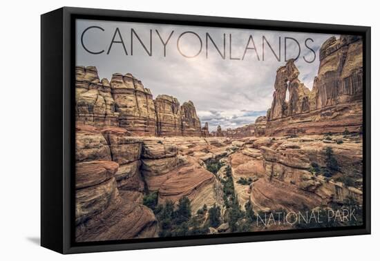 Canyonlands National Park, Utah - Cloudy Canyon View-Lantern Press-Framed Stretched Canvas