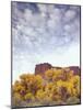 Canyonlands NP, Utah. Cottonwoods in Autumn Below Cliffs and Clouds-Scott T. Smith-Mounted Photographic Print
