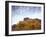 Canyonlands NP, Utah. Cottonwoods in Autumn Below Cliffs and Clouds-Scott T. Smith-Framed Photographic Print