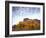 Canyonlands NP, Utah. Cottonwoods in Autumn Below Cliffs and Clouds-Scott T. Smith-Framed Photographic Print