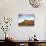 Canyonlands NP, Utah. Cottonwoods in Autumn Below Cliffs and Clouds-Scott T. Smith-Photographic Print displayed on a wall