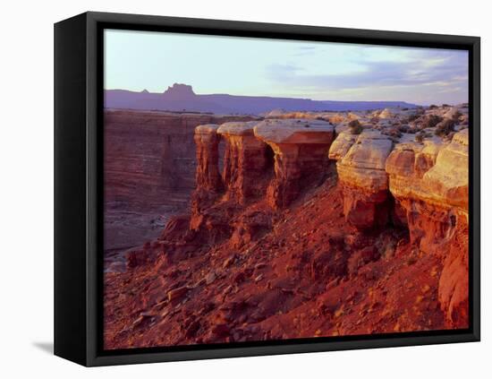 Canyonlands NP, Utah. White Rim Sandstone and Cutler Formation, Sunset-Scott T. Smith-Framed Premier Image Canvas