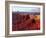 Canyonlands NP, Utah. White Rim Sandstone and Cutler Formation, Sunset-Scott T. Smith-Framed Photographic Print