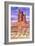 Canyonlands Sentinel-Douglas Taylor-Framed Photographic Print