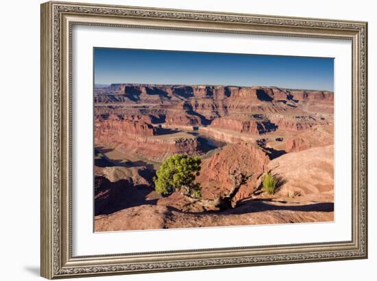 Canyonlands Sunrise-Michael Blanchette Photography-Framed Photographic Print