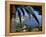 Cap Ferrat, Alpes-Maritimes, Cote d'Azur, Provence, France, Mediterranean-John Miller-Framed Premier Image Canvas