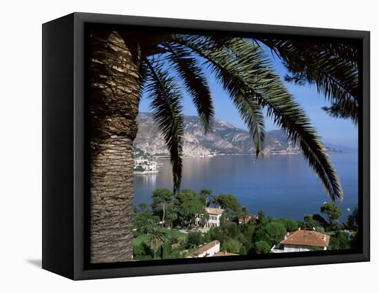 Cap Ferrat, Alpes-Maritimes, Cote d'Azur, Provence, France, Mediterranean-John Miller-Framed Premier Image Canvas