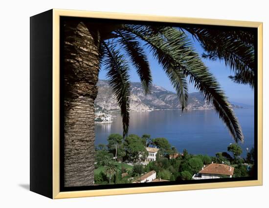Cap Ferrat, Alpes-Maritimes, Cote d'Azur, Provence, France, Mediterranean-John Miller-Framed Premier Image Canvas