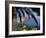 Cap Ferrat, Alpes-Maritimes, Cote d'Azur, Provence, France, Mediterranean-John Miller-Framed Photographic Print