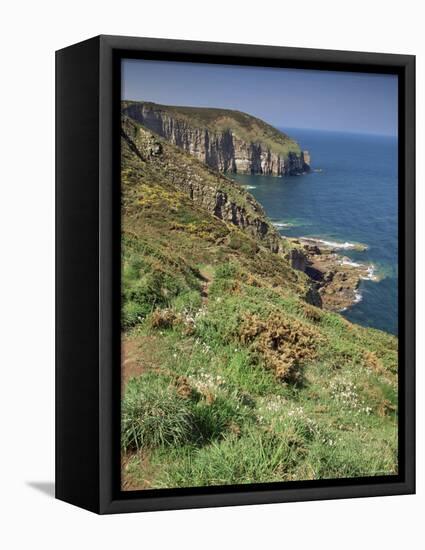 Cap Frehel, Cote d'Emeraude, Cotes d'Armor, Brittany, France-Michael Busselle-Framed Premier Image Canvas