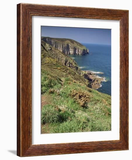 Cap Frehel, Cote d'Emeraude, Cotes d'Armor, Brittany, France-Michael Busselle-Framed Photographic Print