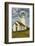 Cape Blanco Lighthouse, Cape Blanco State Park, Oregon, Usa-Michel Hersen-Framed Photographic Print