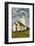 Cape Blanco Lighthouse, Cape Blanco State Park, Oregon, Usa-Michel Hersen-Framed Photographic Print