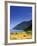 Cape Breton National Park, Cape Rouge, Cape Breton, Nova Scotia, Canada-Walter Bibikow-Framed Photographic Print