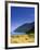 Cape Breton National Park, Cape Rouge, Cape Breton, Nova Scotia, Canada-Walter Bibikow-Framed Photographic Print