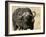 Cape Buffalo, Masai Mara National Reserve, Kenya-Sergio Pitamitz-Framed Photographic Print