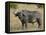 Cape Buffalo or African Buffalo with Yellow-Billed Oxpecker-James Hager-Framed Premier Image Canvas