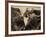 Cape Buffalo, Syncerus Caffer, Addo Elephant National Park, South Africa, Africa-Steve & Ann Toon-Framed Photographic Print