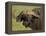 Cape Buffalo with a Red-Billed Oxpecker, Ngorongoro Conservation Area, Tanzania,East Africa,Africa-James Hager-Framed Premier Image Canvas