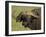 Cape Buffalo with a Red-Billed Oxpecker, Ngorongoro Conservation Area, Tanzania,East Africa,Africa-James Hager-Framed Photographic Print