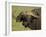 Cape Buffalo with a Red-Billed Oxpecker, Ngorongoro Conservation Area, Tanzania,East Africa,Africa-James Hager-Framed Photographic Print