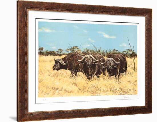 Cape Buffalo-Joseph Vance-Framed Collectable Print