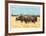 Cape Buffalo-Joseph Vance-Framed Collectable Print