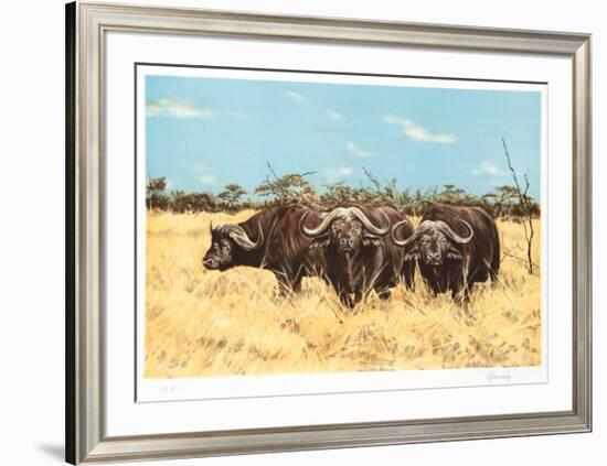 Cape Buffalo-Joseph Vance-Framed Collectable Print