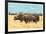 Cape Buffalo-Joseph Vance-Framed Collectable Print