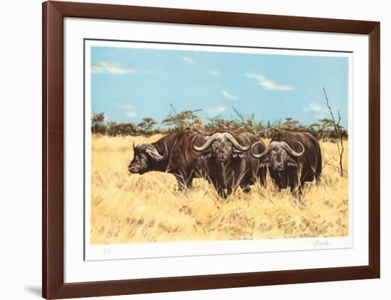 Cape Buffalo-Joseph Vance-Framed Collectable Print