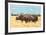 Cape Buffalo-Joseph Vance-Framed Collectable Print